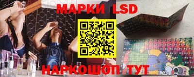 прущие грибы Славгород