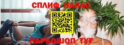 прущие грибы Славгород