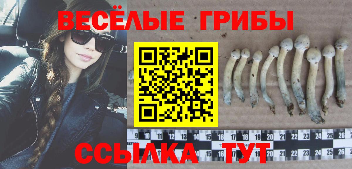 Усть-Илимск  Псилоцибиновые грибы ЛСД  Вход с VPN 