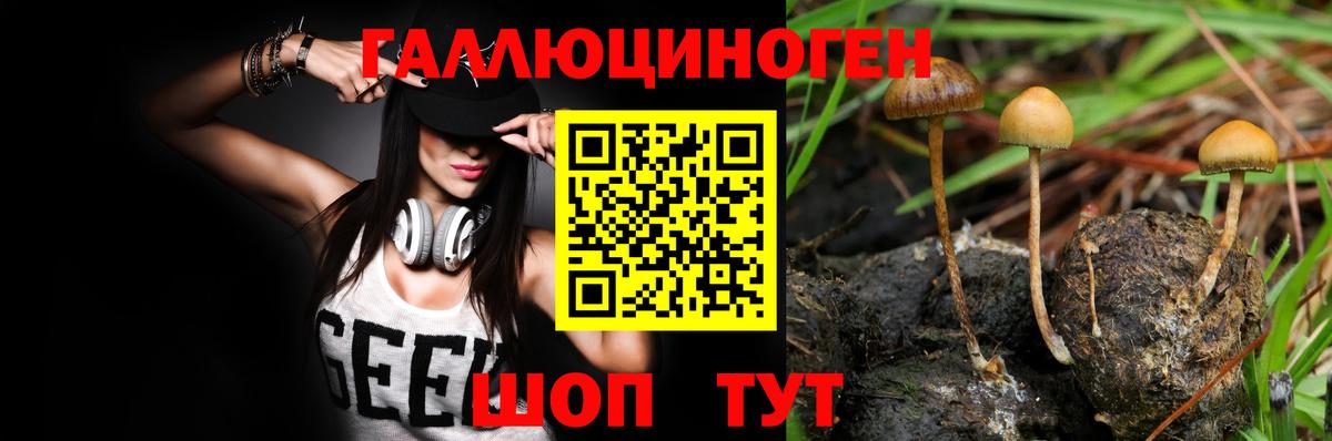 Псилоцибиновые грибы ЛСД Усть-Илимск